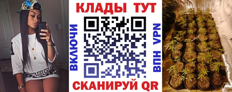 Где найти наркотики Приозерск Alpha PVP  Кокаин  ГАШИШ  mega зеркало  Марихуана 