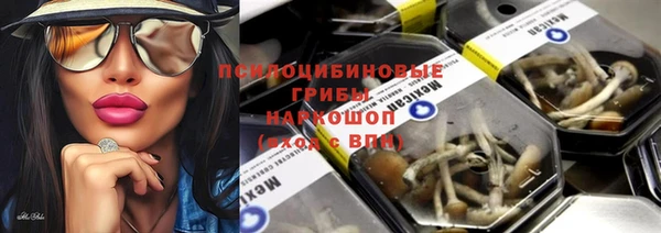 PSILOCYBIN Балахна