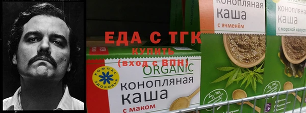 ГАЛЛЮЦИНОГЕННЫЕ ГРИБЫ Балабаново