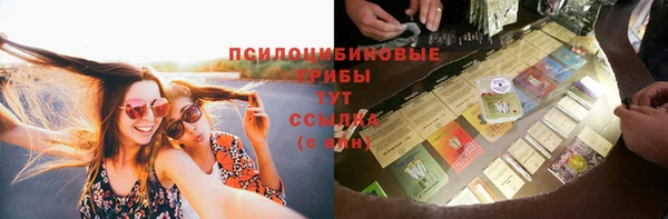 гашик Ростов