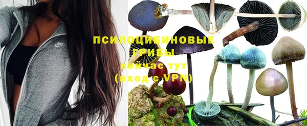 PSILOCYBIN Балахна