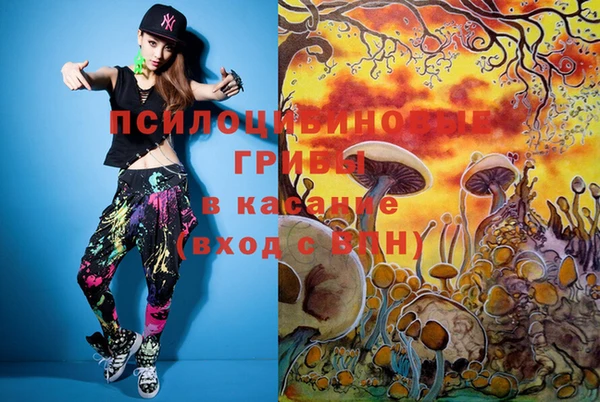 PSILOCYBIN Балахна