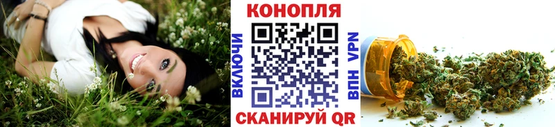 Марихуана SATIVA & INDICA  продажа наркотиков  Приозерск 
